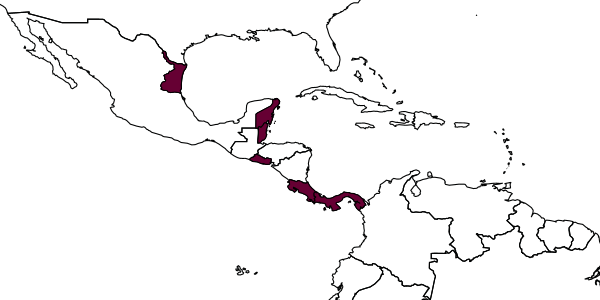 map of Neomymar gusar     Triapitsyn, Berezovskiy & Huber, 2006
